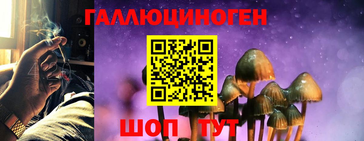 Богданович  Псилоцибиновые грибы мицелий  Вход с VPN 